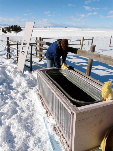Horse trough in winter