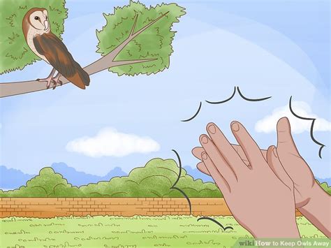 Keeping Owls Away