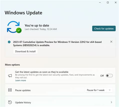 Keep Windows 10 Updated to Prevent BSOD Errors