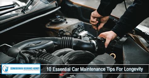 Keeping It Real: Essential Maintenance Tips for Longevity