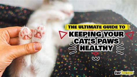 Keeping Paws Happy and Healthy