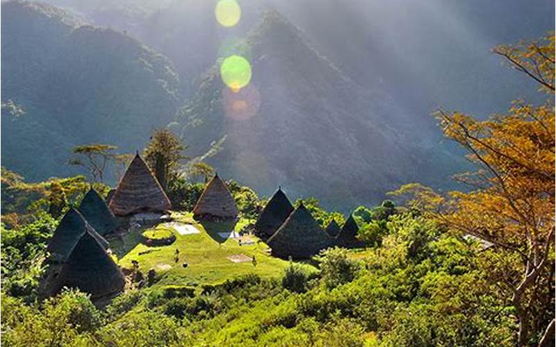 Keindahan Hutan Indonesia