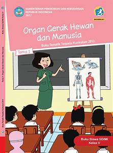Mengenal Lebih Dekat Sistem Pendidikan di Indonesia