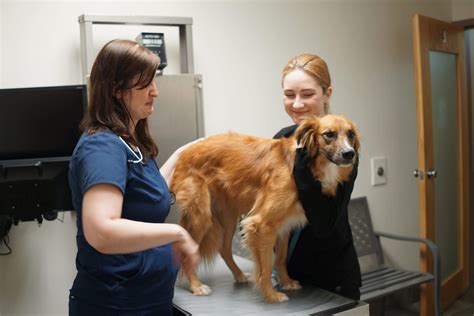 Keller Lake Animal Hospital in Maplewood, MN - Exceptional Pet Care Services