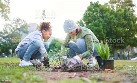 Keluarga Menanam Dan Berkebun Di Taman Dengan Pohonpohon Di Lingkungan