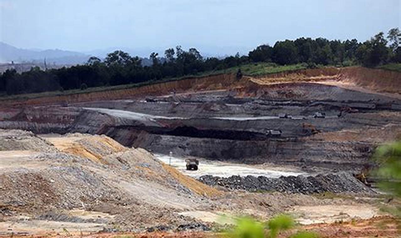 Kenapa banyak batu bara di Kalimantan?