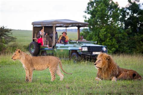 Kenya Safari Tours