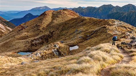 Kepler Track Guided Heli Hike: A Detailed Review