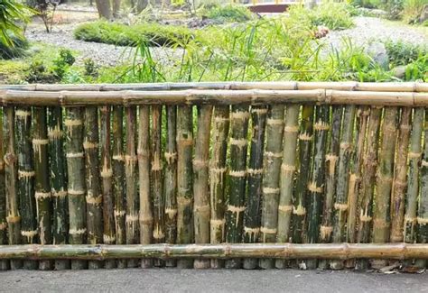 Kerjakan Sendiri : Cara Membuat Pagar dari Bambu Utuh yang Bagus - Arafuru