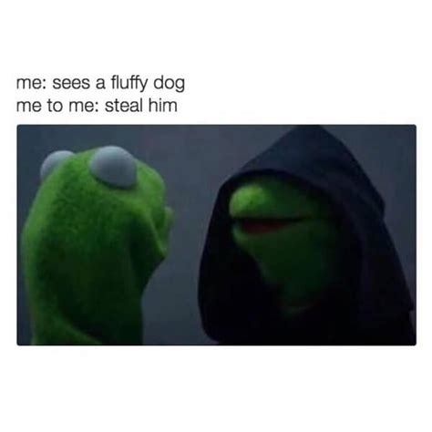 Kermit Dog Meme