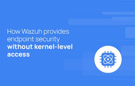 Kernel-level access in endpoint security