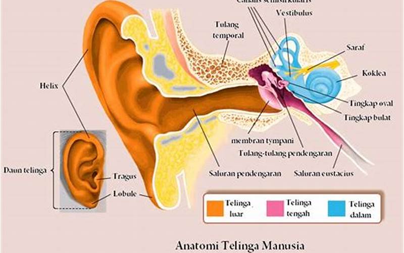 Kerusakan Pendengaran