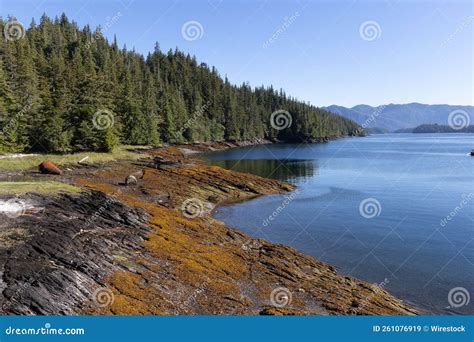 Ketchikan Custom Island Tour Review: Wild Wolf Tours Experience