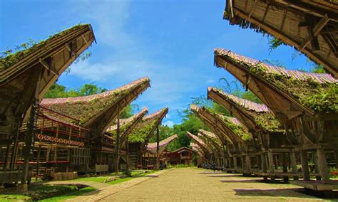 Kete Kesu Toraja: Menyelusuri Keindahan Tradisi dan Alam Torsa Nusantara