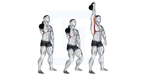 Kettlebell 2 Hand Press Muscles