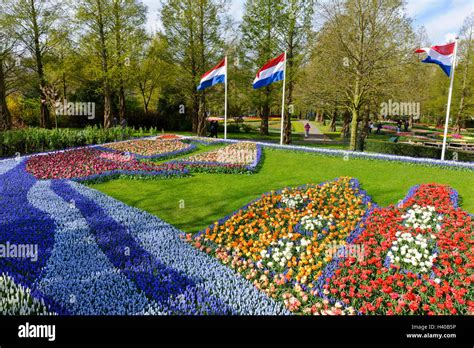 Keukenhof Flower Arrangements