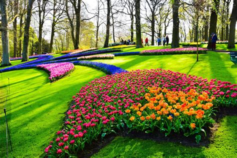 Keukenhof Flower Displays