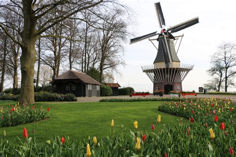 Keukenhof Windmill