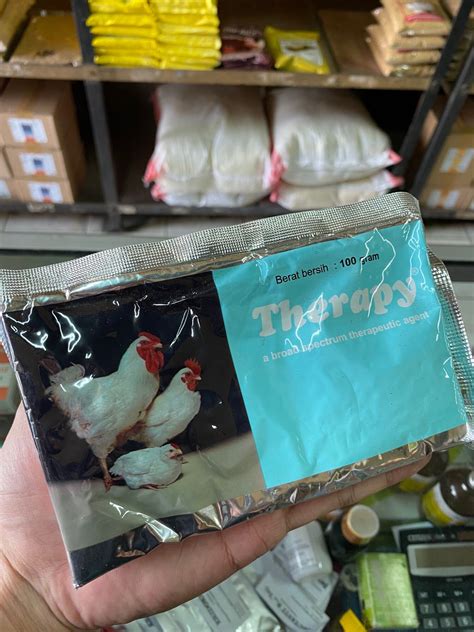 Keuntungan Obat Herbal Kolera untuk Ayam Bangkok