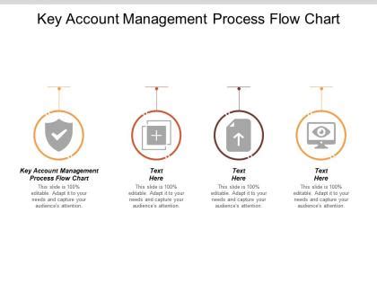 Key Account Management Process Flow Chart