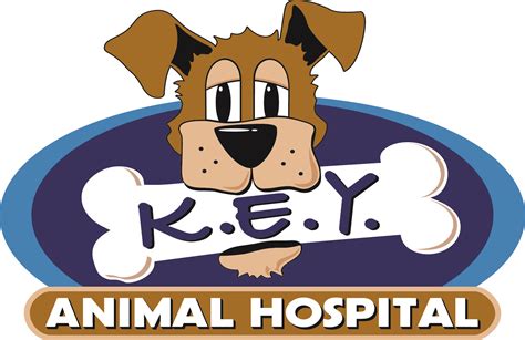 Quality Pet Care Services at Key Animal Hospital in Wheeling, WV: Your Trusted Veterinarian Partner