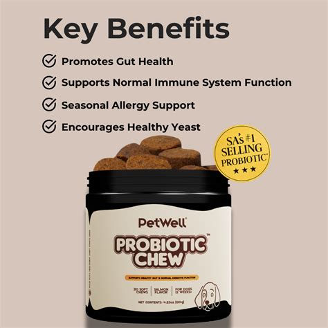 Key Benefits of Adding a Daily Dog Probiotic Chew