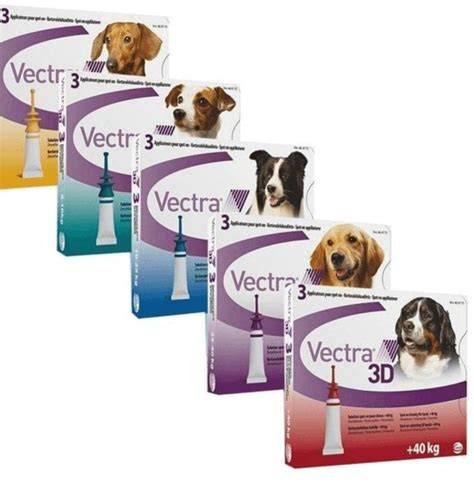 Key Benefits of Choosing Vectra Dog
