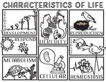 Key Characteristics of Really Easy Coloring Pages