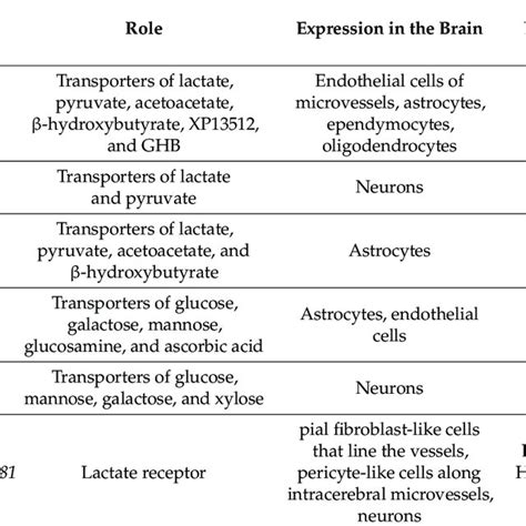 Key Components of an Expression