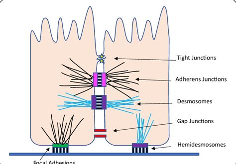 Key Connections and Junctions in MGB