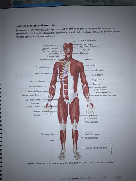 Key Differences: Location and Origin