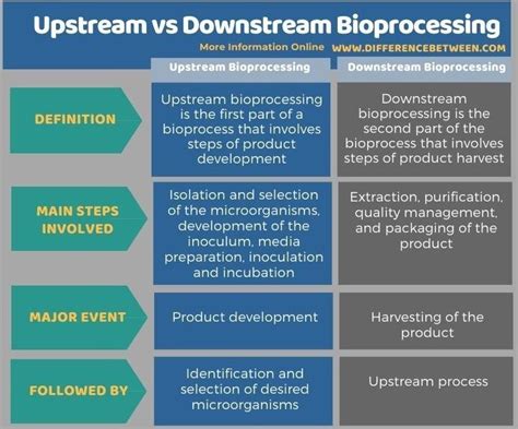 Key Differences Between Upstream and Downstream Sensors