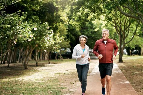 Key Differences in Lifespan and Styling