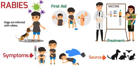 Key Differences in State Laws: Rabies vs. Aggression Concerns