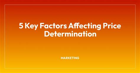 Key Factors Affecting the Price Tag