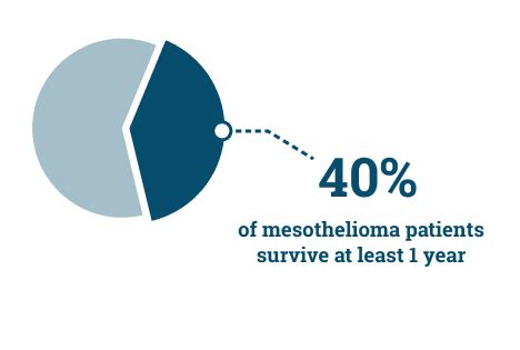 Key Factors Influencing a Mesothelioma Judgment