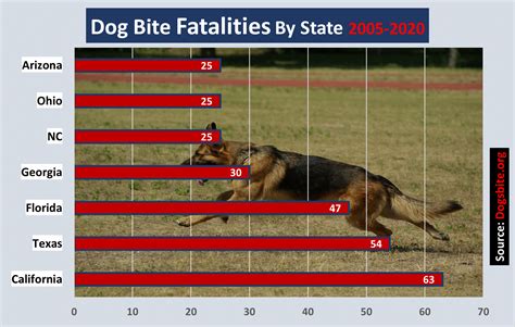 Key Factors in Fatal Dog Attacks