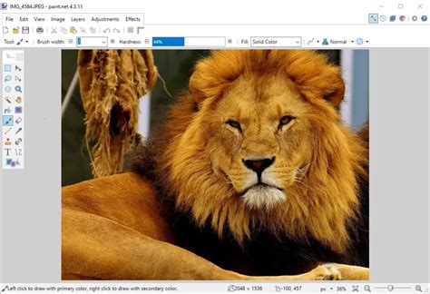 Key Features That Set Picture Editor Paint Apart