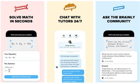 Key Features of the Brainly Website