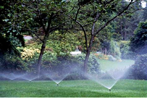 Key Features to Look For When Choosing Your Sprinkler