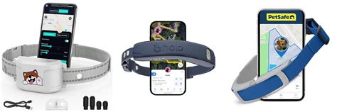 Key Features to Look For in Any Dog Tracking System