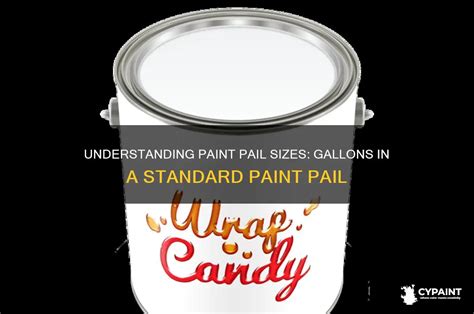 Key Features to Look For in a Reliable Paint Pail