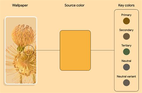 Key Features to Look For in an App To Color My Own Pictures