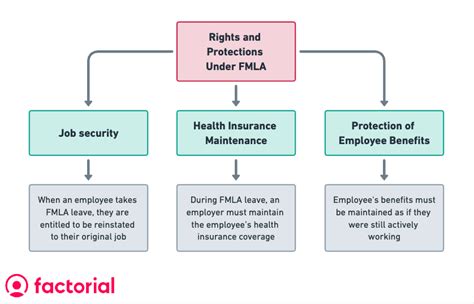 Key Federal Protections: FMLA Explained