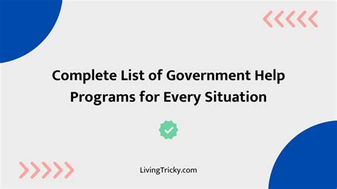 Key Government Programs Offering Support
