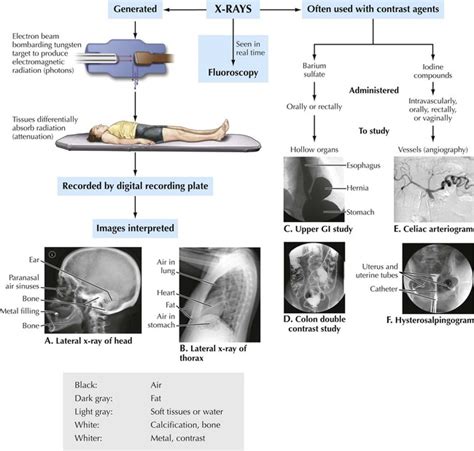 Key Imaging Modalities