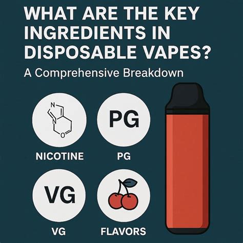 Key Ingredients Breakdown