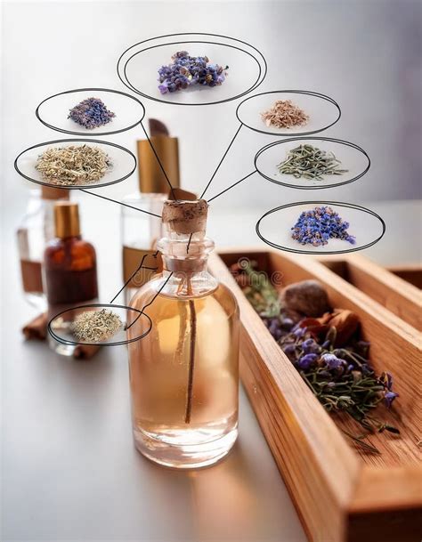 Key Ingredients and Their Magic