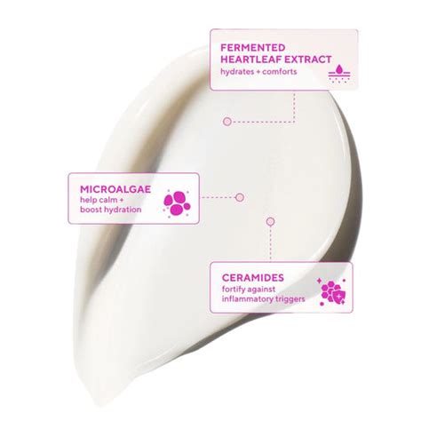 Key Ingredients to Look for in a Calming Cream