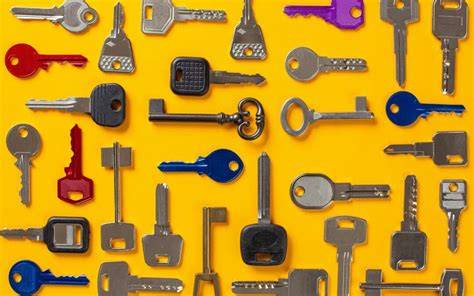 Key Materials to Look For